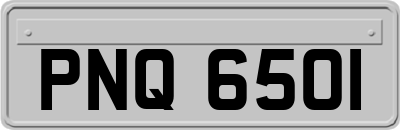 PNQ6501