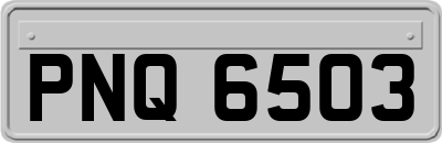 PNQ6503