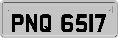 PNQ6517