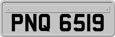PNQ6519