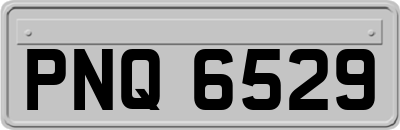 PNQ6529