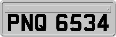 PNQ6534