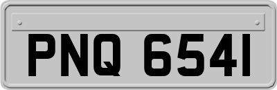 PNQ6541