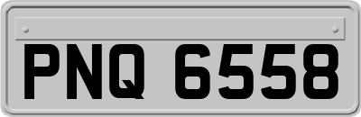 PNQ6558
