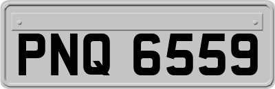 PNQ6559