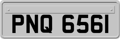 PNQ6561
