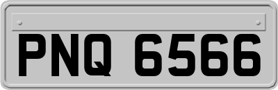 PNQ6566