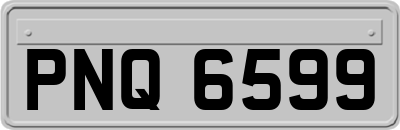 PNQ6599