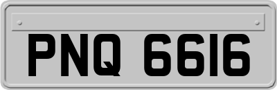 PNQ6616