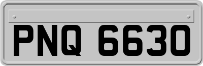 PNQ6630