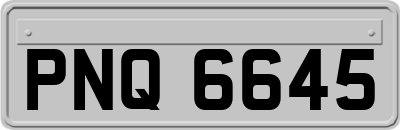 PNQ6645