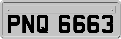 PNQ6663