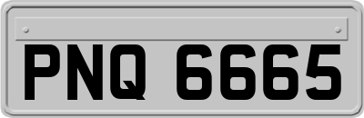 PNQ6665