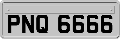 PNQ6666