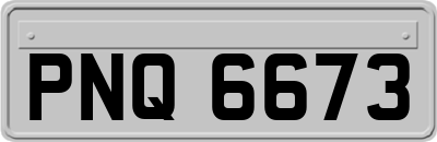 PNQ6673