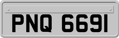 PNQ6691