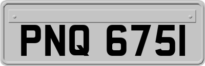 PNQ6751