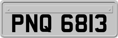 PNQ6813