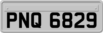 PNQ6829