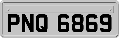 PNQ6869