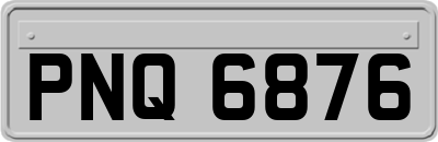 PNQ6876