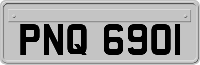 PNQ6901