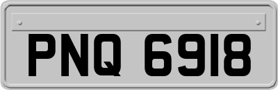 PNQ6918
