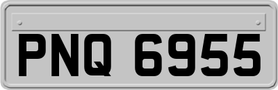 PNQ6955