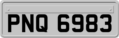 PNQ6983
