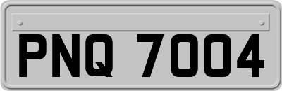 PNQ7004