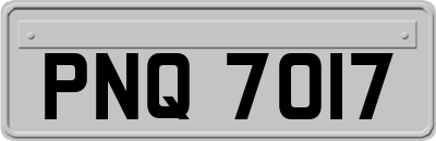 PNQ7017