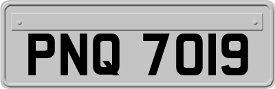 PNQ7019