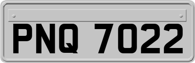 PNQ7022
