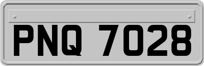 PNQ7028