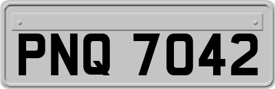 PNQ7042