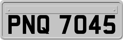 PNQ7045