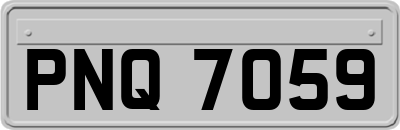 PNQ7059