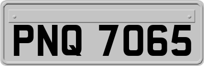 PNQ7065
