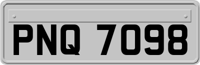 PNQ7098