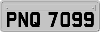 PNQ7099