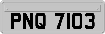 PNQ7103
