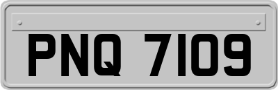 PNQ7109