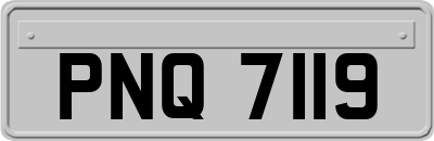 PNQ7119