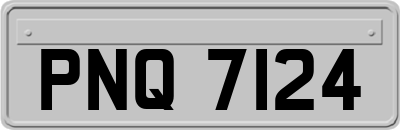 PNQ7124