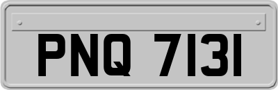 PNQ7131