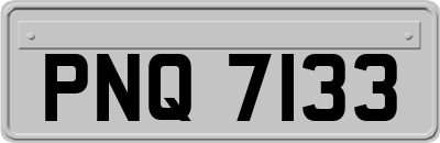 PNQ7133