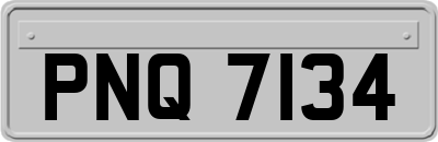 PNQ7134