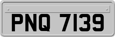 PNQ7139