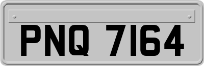 PNQ7164