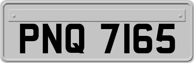 PNQ7165